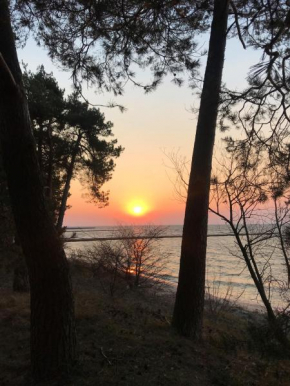 Janusev in Nida